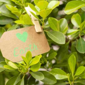 Folhagem verde com a palavra Earth e um coração, numa etiqueta de cartão, presa por uma mola.